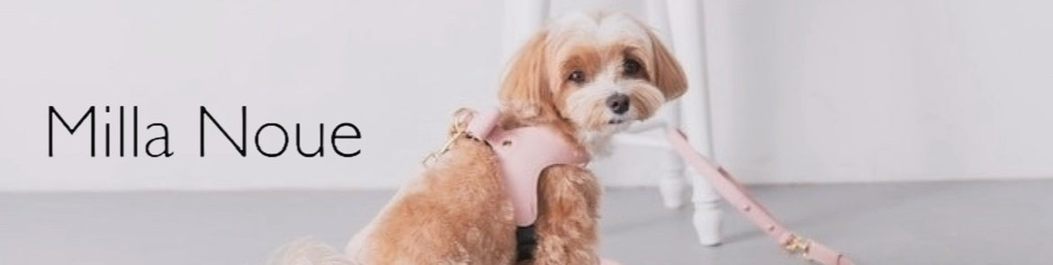 Milla Noue