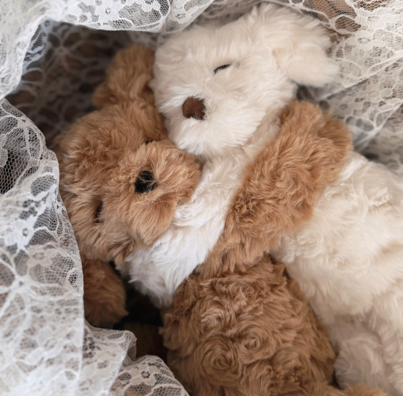 McHugs stuffed animal