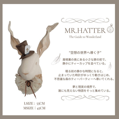 Rabbit with hatーWhere Little Wonders Begin