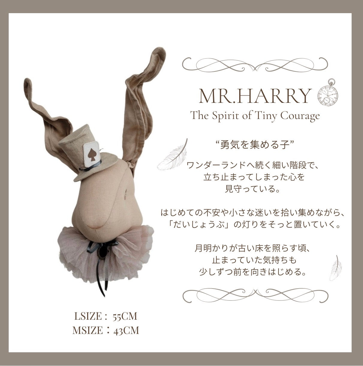 Rabbit with hatーWhere Little Wonders Begin