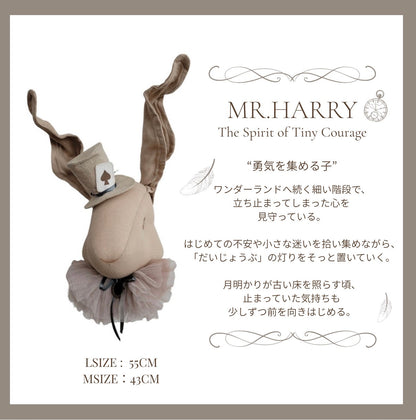 Rabbit with hatーWhere Little Wonders Begin