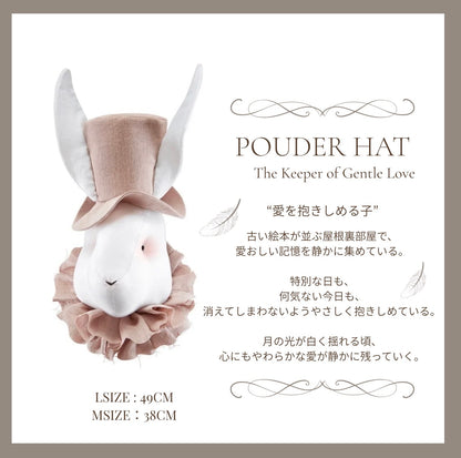 Rabbit with hatーWhere Little Wonders Begin
