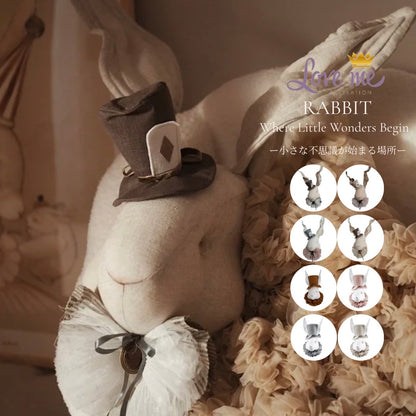 Rabbit with hatーWhere Little Wonders Begin