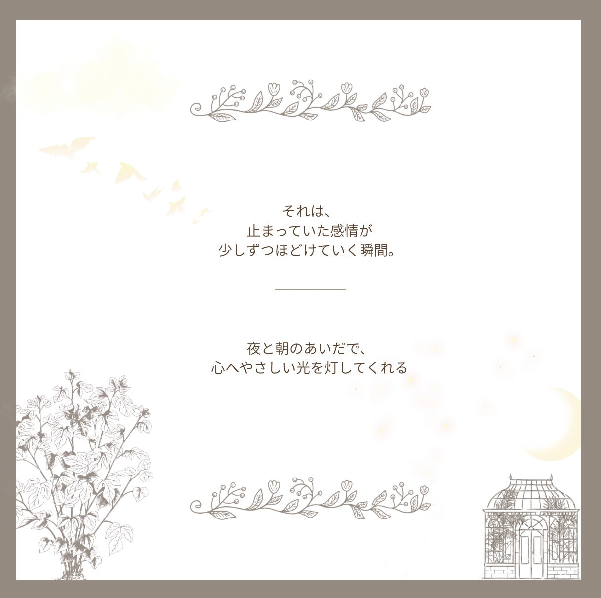 Humming birdーWhere Tiny Wings Carry Wishes