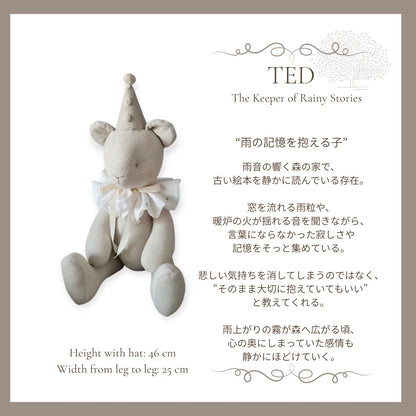 Teddy BearーThe House of Small Lights